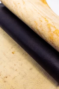 Inovasi Jamur Indonesia